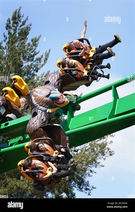 Park Engineers Test The World S Only Jumanji Rollercoaster Mandrill