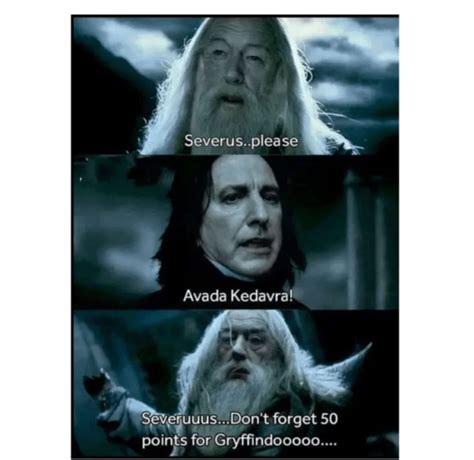 40 Magical Harry Potter Memes That Ll Make You Say Accio Laughter September 12 2023