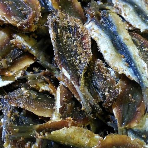 Jual Ikan Asin Dendeng Tembang 1 2 Kg Shopee Indonesia