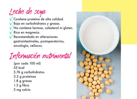 Todo Lo Que Necesitas Saber Sobre Las Leches Vegetales