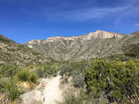 Best 10 Hiking Trails in Guadalupe Mountains National Park | AllTrails