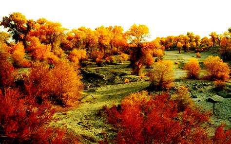 Taklimakan Desert In Kashgar Xinjiang China