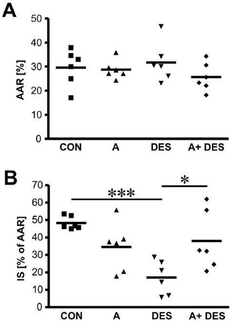 Summary Charts Of Area At Risk And Infarct Size Measurements In Male