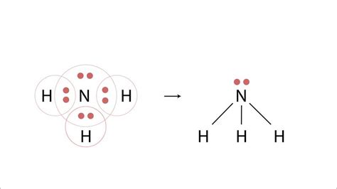 A Molecule Of Ammonia Nh3 Has A Only Single Bonds B Only Double Bonds