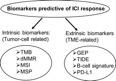 Frontiers Fda Approved And Emerging Next Generation Predictive