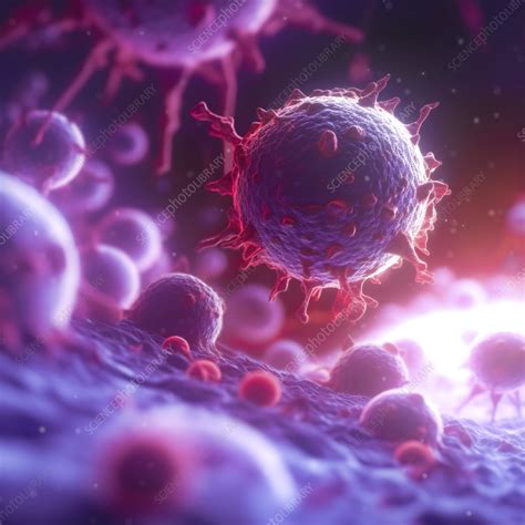 Cancer Cells Illustration Stock Image C Science Photo