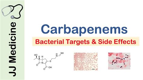 Meropenem, Imipenem, and Ertapenem – Carbapenems Mechanism of Action ...