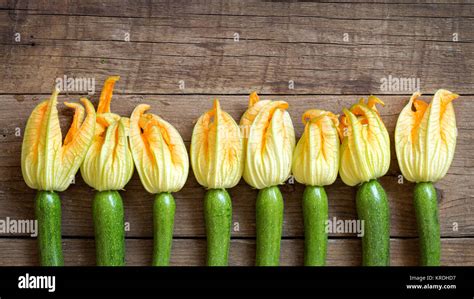 Zucchini With Flowers Stock Photo Alamy