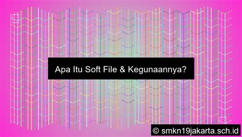 soft file kegunaannya