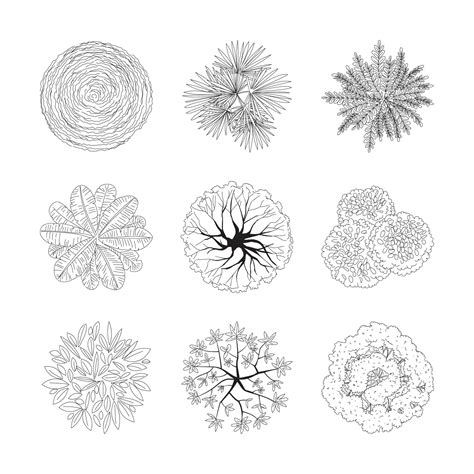 Outlined Tree Plan Top View Set 8285818 Vector Art At Vecteezy