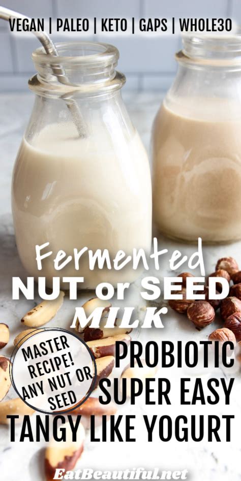 Fermented Nut Or Seed MILK Master Recipe Any Nut Or Seed Paleo