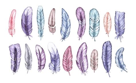 Premium Photo Watercolor Set Of Bird Feathers Isolated On White