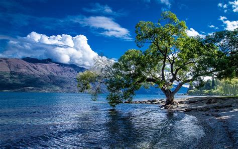 lake wakatipu  queenstown  zealand hd wallpaper