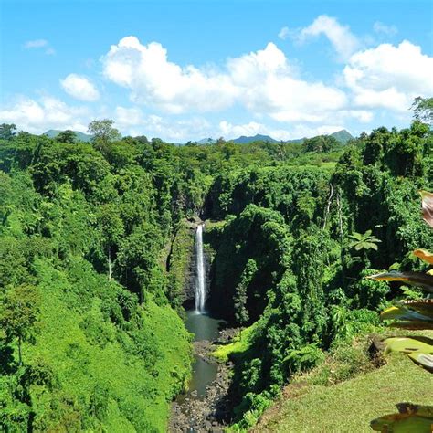 Waterfall Sauniatu Upolu Σαμόα Κριτικές Tripadvisor