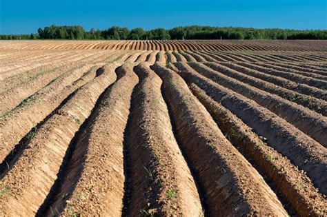 Campo Arado De Tierra Cultivable Tierra Cultivada Y Labranza Del Suelo