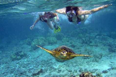 Blue Water Rafting Molokini Express Snorkeling Tour Out Of Kihei Maui