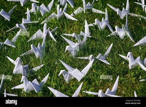 Japanese Folded Origami Cranes On Fresh Grass Hundreds Handmade Paper