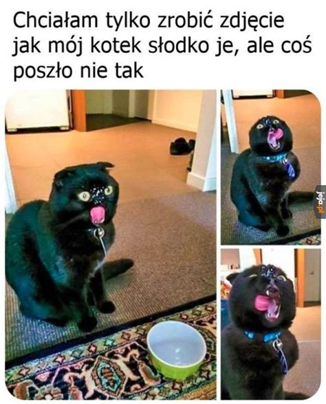 Nie Wysz O Jeja Pl