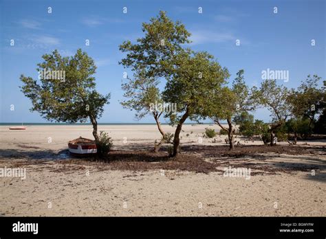 Beach In Vilanculos Mozambique Africa Stock Photo Alamy