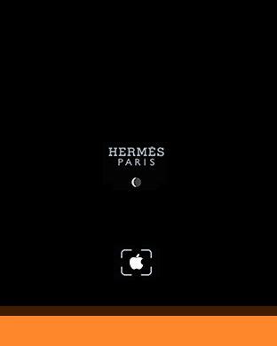 Hermes Apple Watch Face Template Pooip