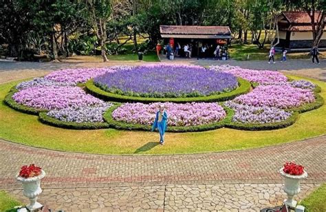 16+ Gambar Taman Bunga Cianjur Jawa Barat - Galeri Bunga HD