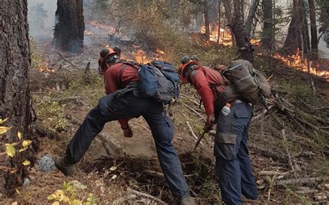 Canadian Interagency Forest Fire Centre Ciffc Bc Wildfire Service