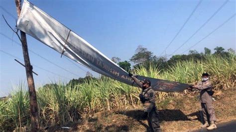 Langgar Perda Satpol Pp Batang Tertibkan Ratusan Spanduk Dan Baliho