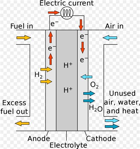 Fuel Cells Hydrogen Fuel Fuel Cell Vehicle, PNG, 1000x1060px, Fuel ...