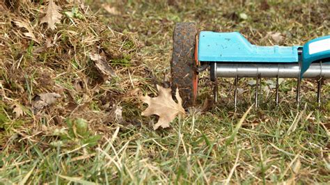 Best Manual Lawn Aerators In Handyman Dream