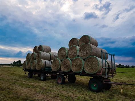 Hay Harvesting In Summer Stock Photo Image Of Haybales 123662560