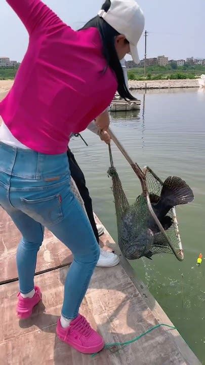 钓到百斤大鱼，花了一上午才弄上岸，太凶猛了fishing Fishinglife 钓鱼 Youtube