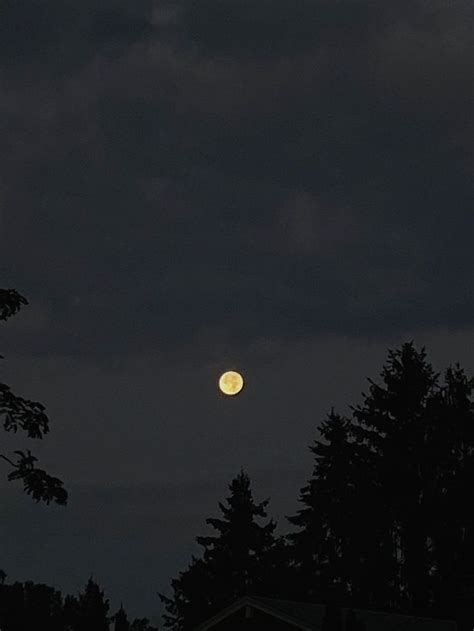 Moon And Stars At Night