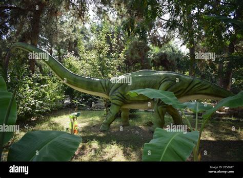 Dinosaur Statue In The Forest Park In Nature For Background Omeisaurus Middle Jurassic 171