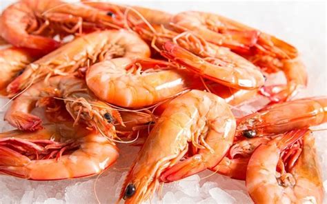 Irresistible Seafood Specials Seafood Factory Outlet