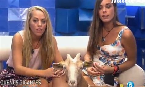 Sigue En Directo La Gala De Estreno De Gran Hermano 15 GH15 En