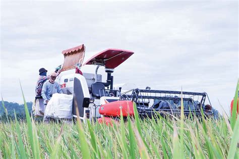 PhilRice Pushes For Fertilizer Saving Tech