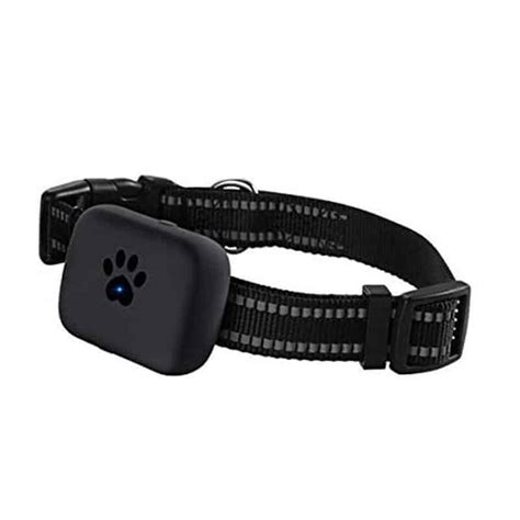 Pet Tracking collar | Henrac Tech South Africa | South African Pet trackers