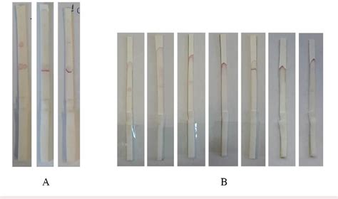 Figure From Lateral Flow Genochromatographic Strip For Naked Eye