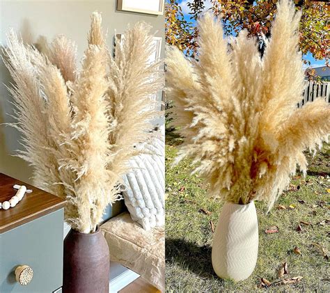 Bannifll 40 Inch 20 Stems Natural Pampas Grass Decor Tall Pompas Grass Tall Pampas Grass For