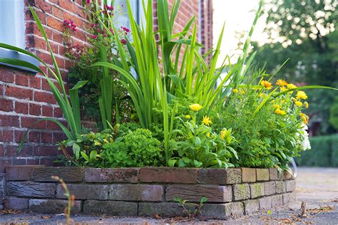 Rain Garden Soil (E)