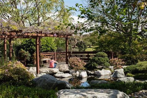 Japanese Friendship Garden And Museum Balboa Park