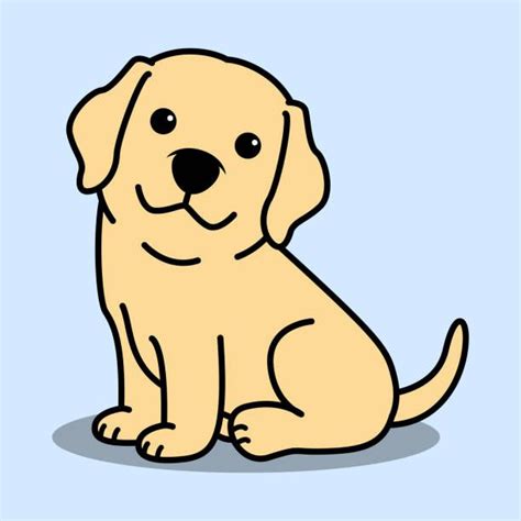 Labrador Retriever Vectores Libres de Derechos - iStock