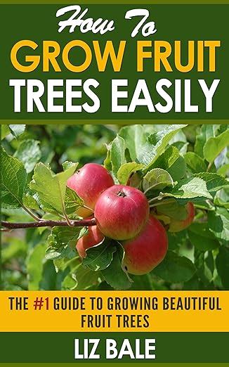 How To Grow Fruit Trees Easily 1 Guide To Growing Beautiful Fruit Trees Ebook