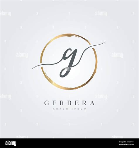 Elegant Initial Letter Type G Logo With Gold Circle Brushed Stock