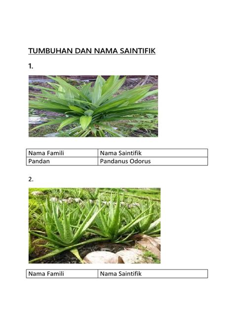 Tumbuhan Dan Nama Saintifik Pdf