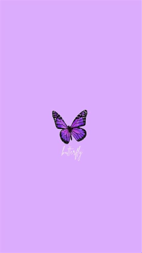 Purple Butterfly Wallpaper Papel De Parede Bonito Para Iphone