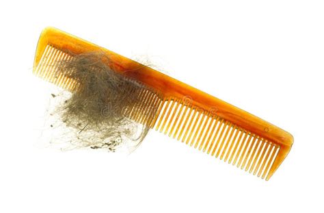 Comb with hair stock photo. Image of grooming, hair, isolated - 24253528