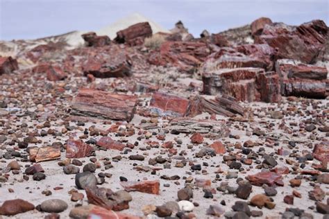 The Best Rockhounding And Beachcombing In Oregon Rock Hounding