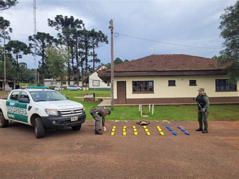 Decomisan En Misiones M S De Una Tonelada De Marihuana Argentina Gob Ar