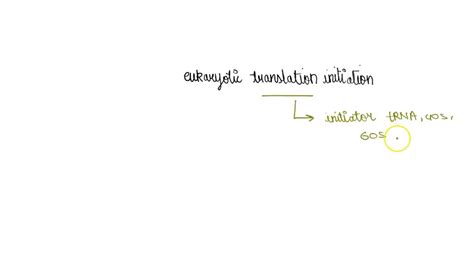 SOLVED: A difference between initiation of translation in prokarytoes and eukaryotes is Choose ...